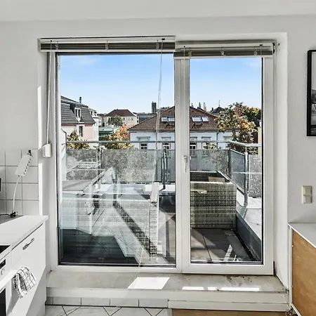 Staytime - Bamboo * Dresden